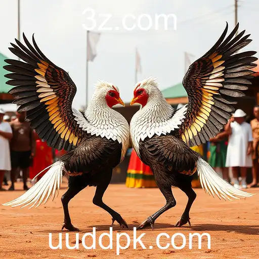 Jogos de Sabong: Tradição, Estratégia e Cultura